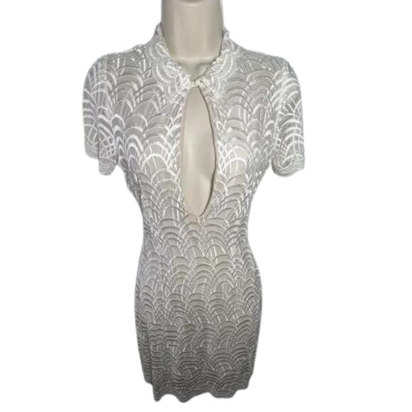 Stone Cold Fox Vintage Dress (1)